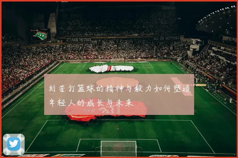 刻苦打篮球的精神与毅力如何塑造年轻人的成长与未来